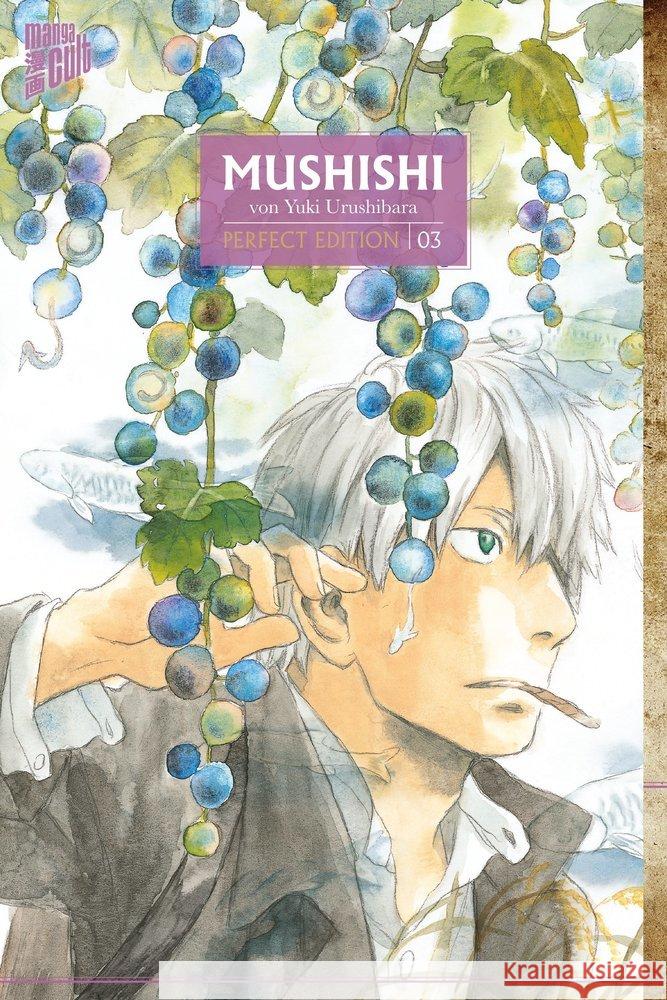 Mushishi - Perfect Edition 3 Urushibara, Yuki 9783964333421 Manga Cult