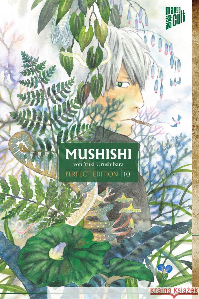 Mushishi - Perfect Edition. Bd.10 Urushibara, Yuki 9783964333490 Manga Cult