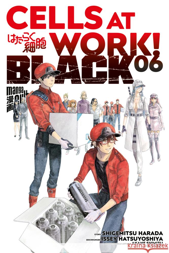 Cells at Work! BLACK 6 Shimizu, Akane 9783964334251 Manga Cult