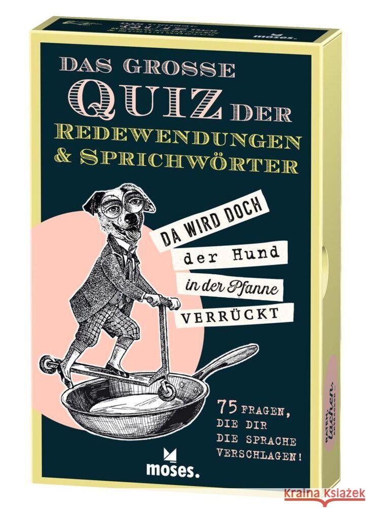 Das große Quiz der Redewendungen & Sprichwörter Berger, Nicola 9783964553065