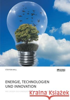 Energie, Technologien und Innovation. Wie lassen sich Energiespeicher sinnvoll nutzen? Steffen Will 9783964871145 Science Factory