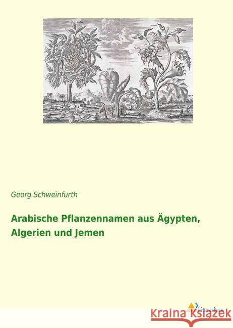 Arabische Pflanzennamen aus Ägypten, Algerien und Jemen Schweinfurth, Georg 9783965061026 Literaricon