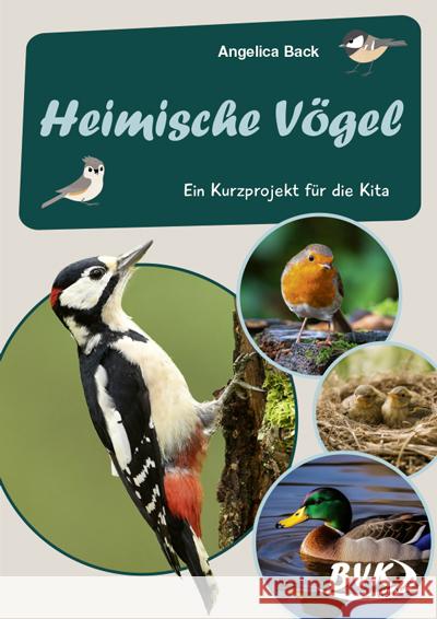Heimische Vögel - Back, Angelica 9783965201743