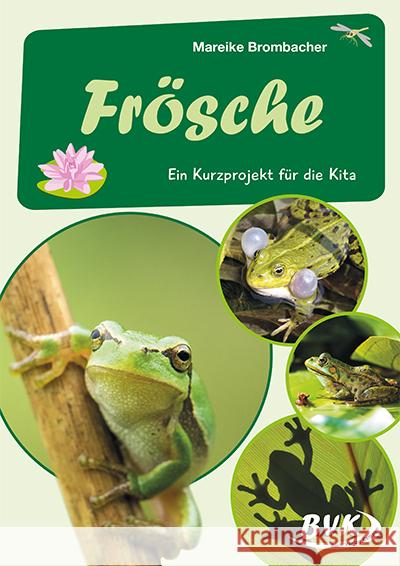 Frösche Brombacher, Mareike 9783965202917