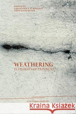 Weathering Christoph F. E. Holzhey Arnd Wedemeyer 9783965580084