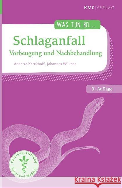 Schlaganfall : Vorbeugung und Nachbehandlung Kerckhoff, Annette; Wilkens, Johannes 9783965620087