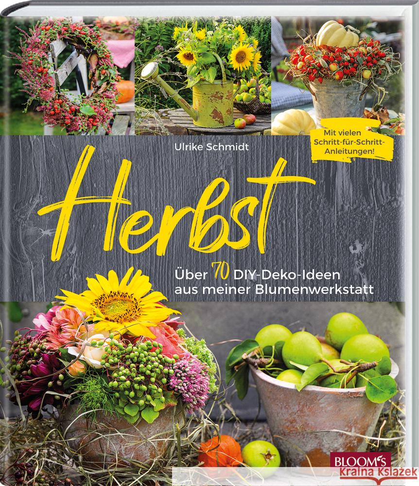 Herbst Schmidt, Ulrike 9783965630710