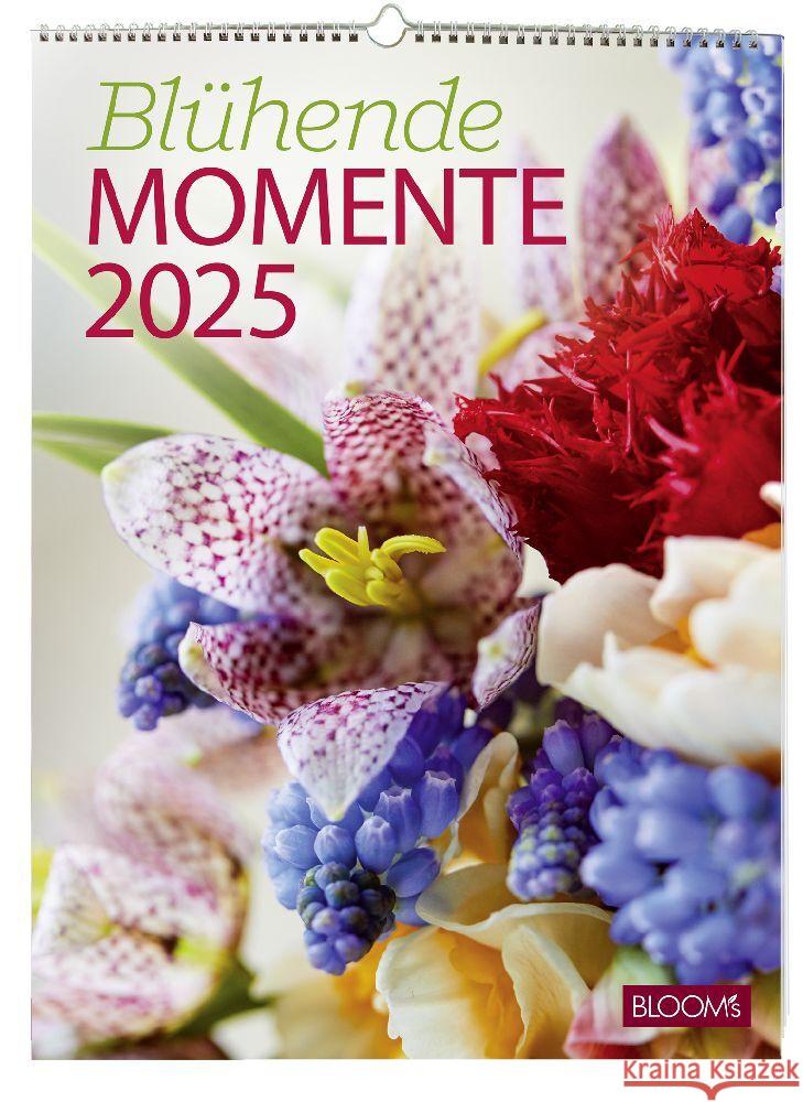 Blühende Momente 2025 Team BLOOM's 9783965631311