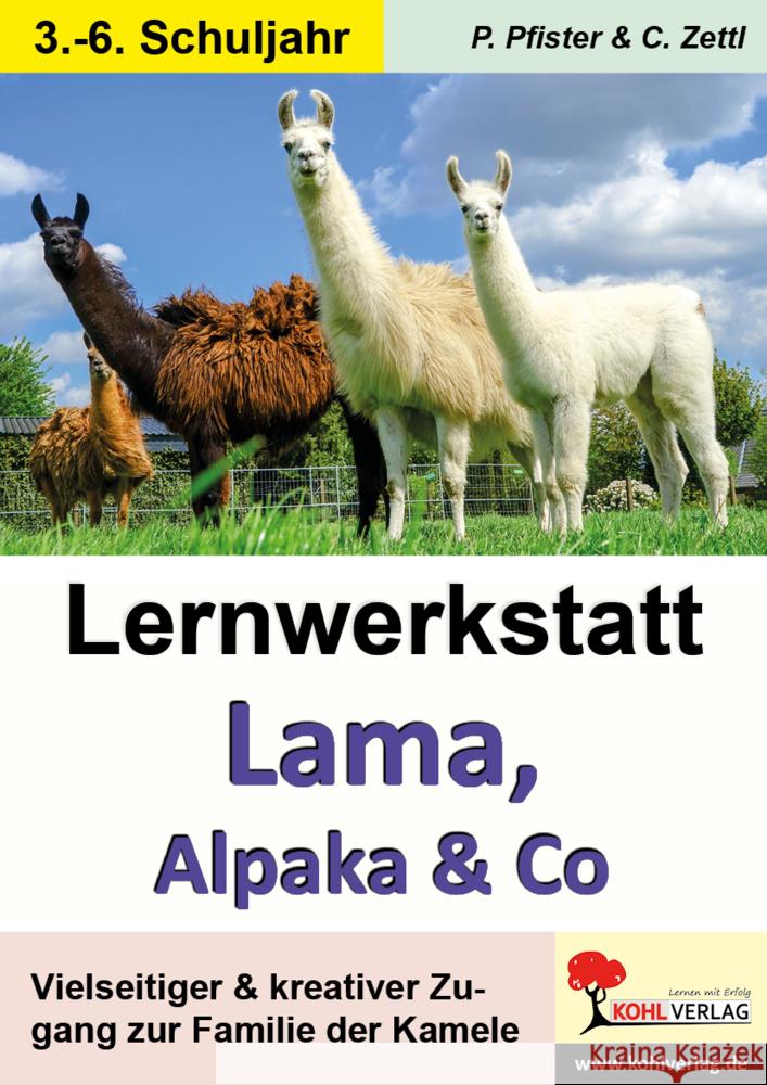 Lernwerkstatt Lama, Alpaka & Co : Vielseitiger & kreativer Zugang zur Familie der Kamele Pfister, Petra; Zettl, Christiane 9783966240864 KOHL VERLAG Der Verlag mit dem Baum