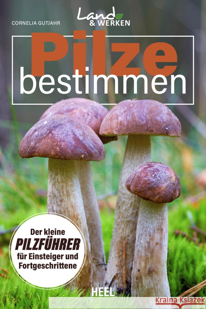 Pilze bestimmen - Der kleine Pilzführer für Einsteiger und Fortgeschrittene Gutjahr, Cornelia 9783966645249 Heel Verlag