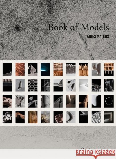 Aires Mateus: Book of Models  9783966800112 Architangle