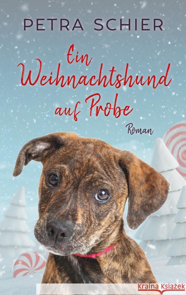 Ein Weihnachtshund auf Probe Schier, Petra 9783967119619