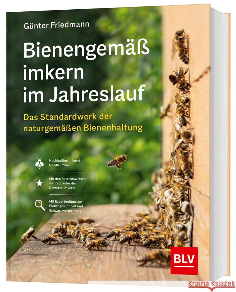 Bienengemäß imkern im Jahreslauf Friedmann, Günter 9783967470451