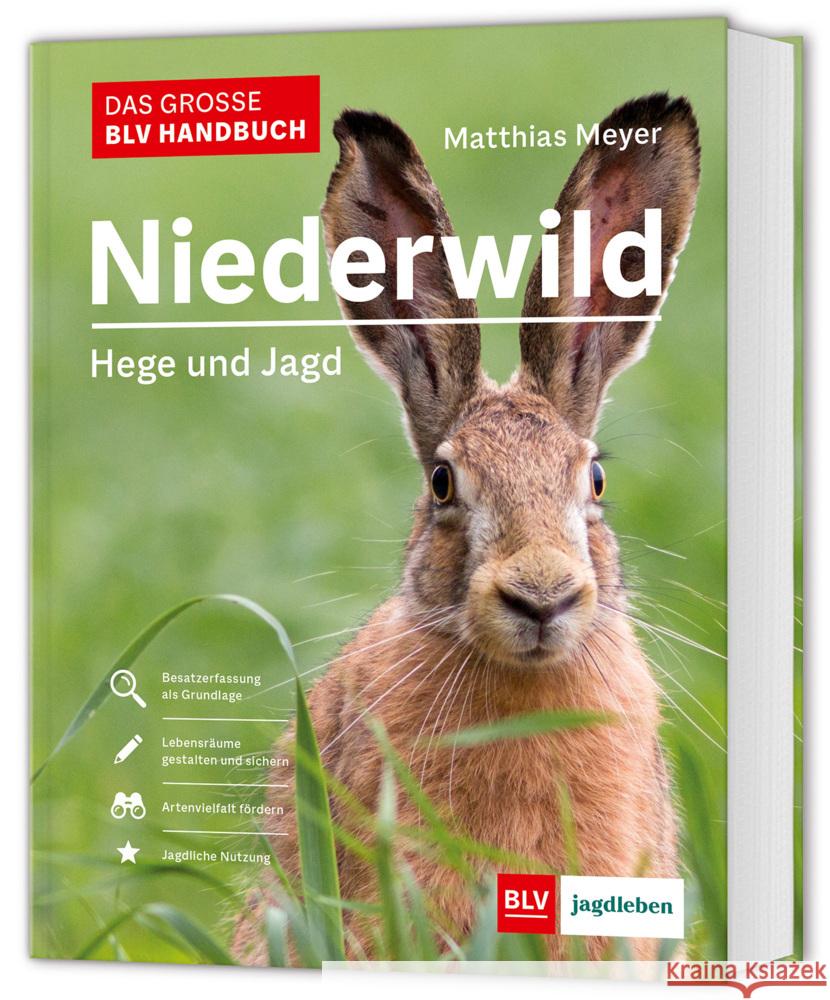 Das große BLV Handbuch Niederwild Meyer, Matthias 9783967471427