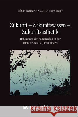 Zukunft - Zukunftswissen - Zukunftsasthetik: Reflexionen Des Kommenden in Der Literatur Des 19. Jahrhunderts Fabian Lampart Natalie Moser 9783968218700 Rombach Verlag