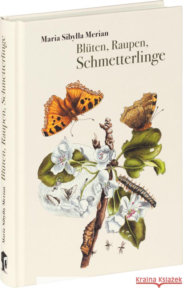 Blüten, Raupen, Schmetterlinge Merian, Maria Sibylla 9783968490038