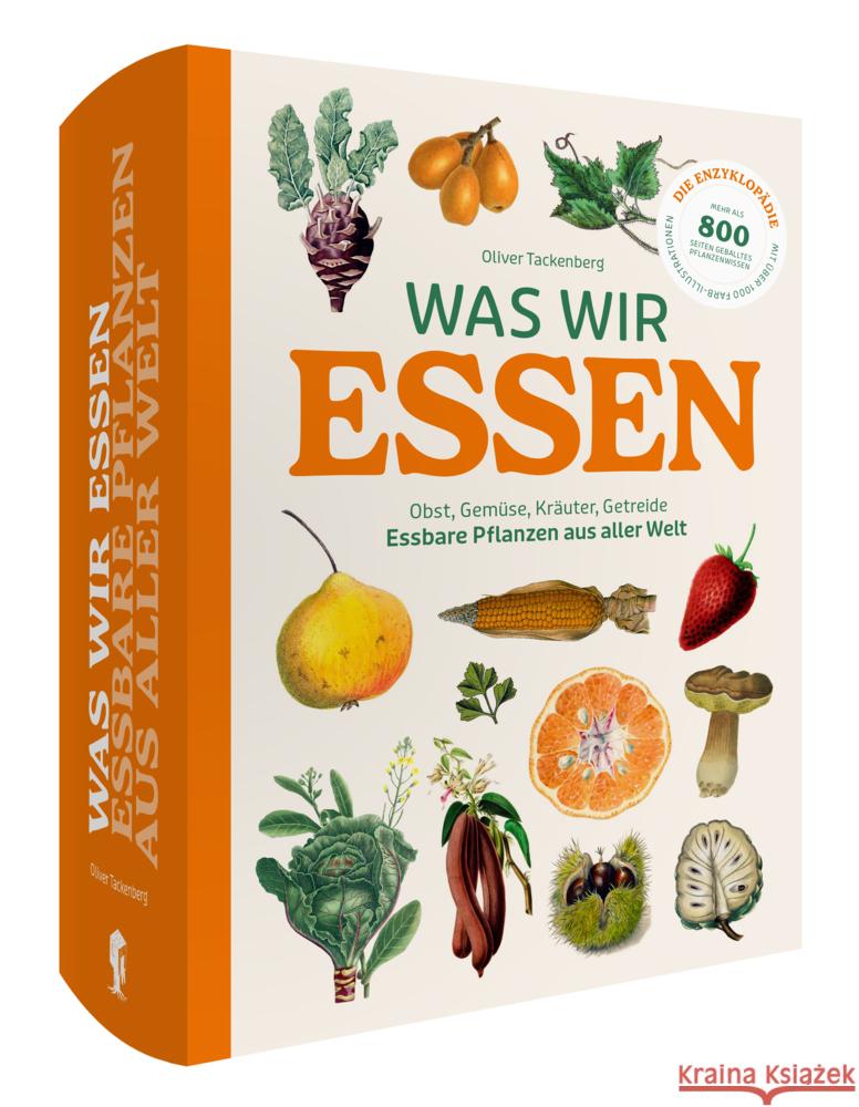 Was wir essen Tackenberg, Oliver 9783968491653 Favoritenpresse