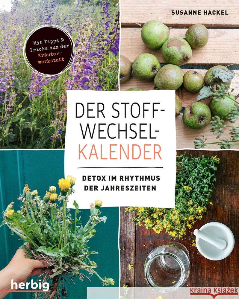 Der Stoffwechsel-Kalender Hackel, Susanne 9783968590202