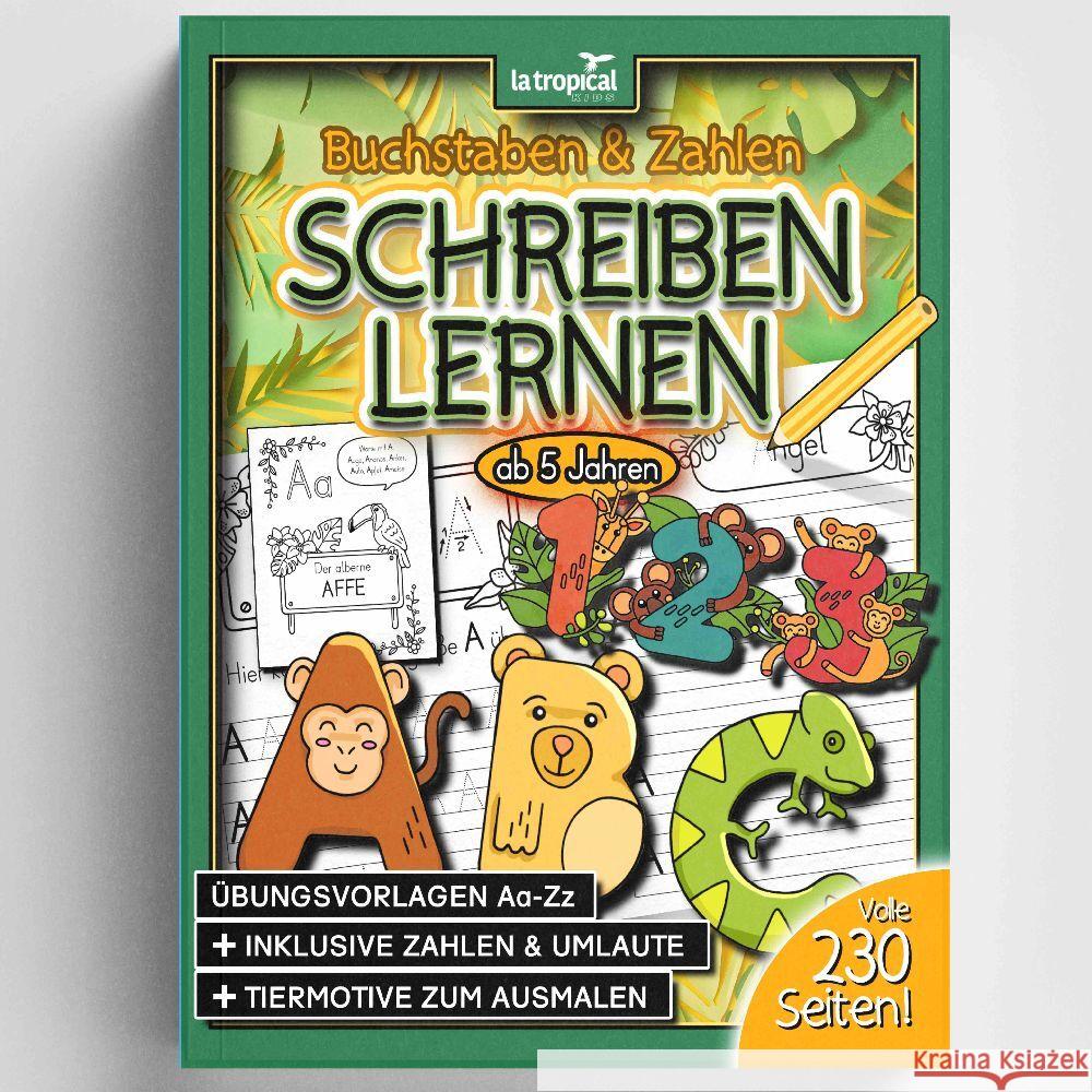 Buchstaben und Zahlen schreiben ab 5 Jahren Ludwig, David 9783969080191