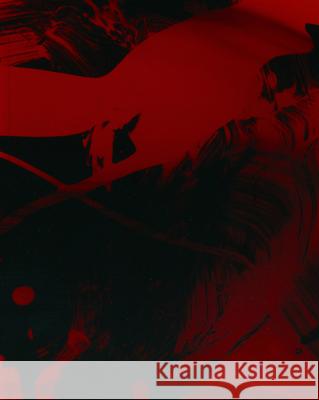 Mirror Collaborative Pictures by Merrick d'Arcy-Irvine X Julia Bajanova Merrick D'Arcy-Irvine Julia Bajanova 9783969122167 DCV