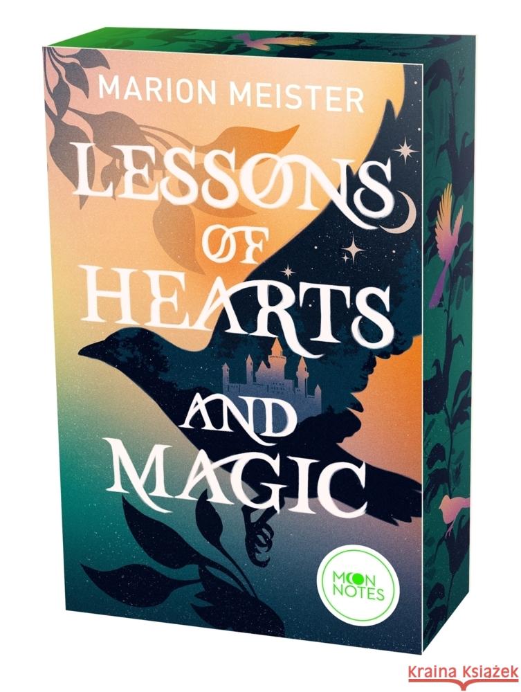 Lessons of Hearts and Magic Meister, Marion 9783969760666