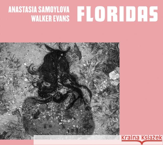 Anastasia Samoylova & Walker Evans: Floridas Samoylova, Anastasia 9783969990070 Steidl Publishers