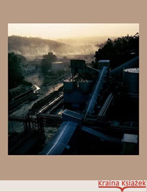 Dayanita Singh: Work in Process  9783969991831 Steidl Publishers