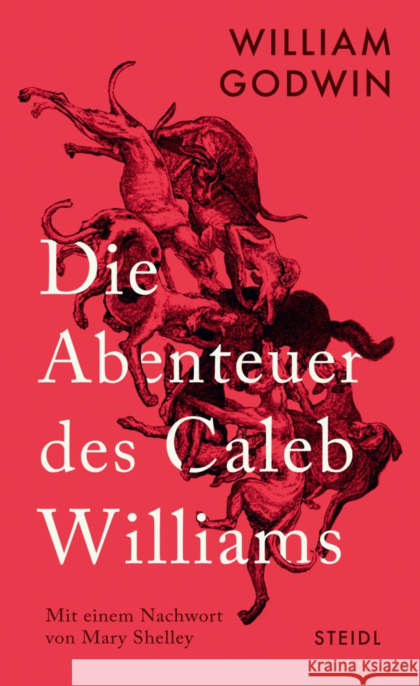 Die Abenteuer des Caleb Williams Godwin, William 9783969992609