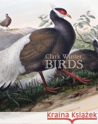 Birds Clark Winter 9783969993583 Steidl Publishers