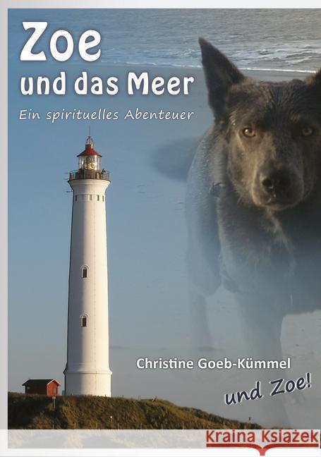 Zoe und das Meer Goeb-Kümmel, Christine 9783981478457