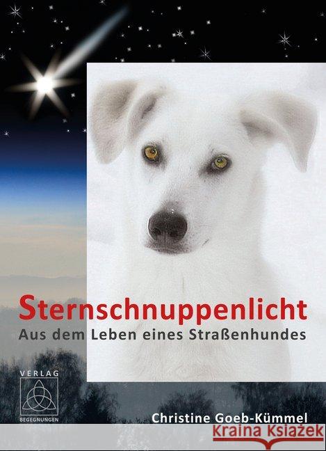 Sternschnuppenlicht : Aus dem Leben eines Straßenhundes Goeb-Kümmel, Christine 9783981478464