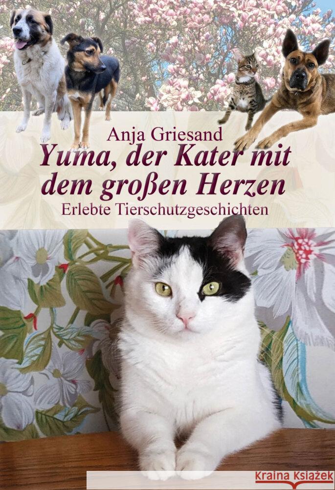 Yuma, der Kater mit dem großen Herzen Griesand, Anja 9783981944440