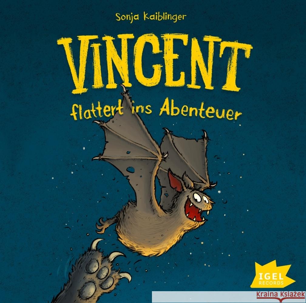 Vincent flattert ins Abenteuer Kaiblinger, Sonja 9783985200009 Igel Records