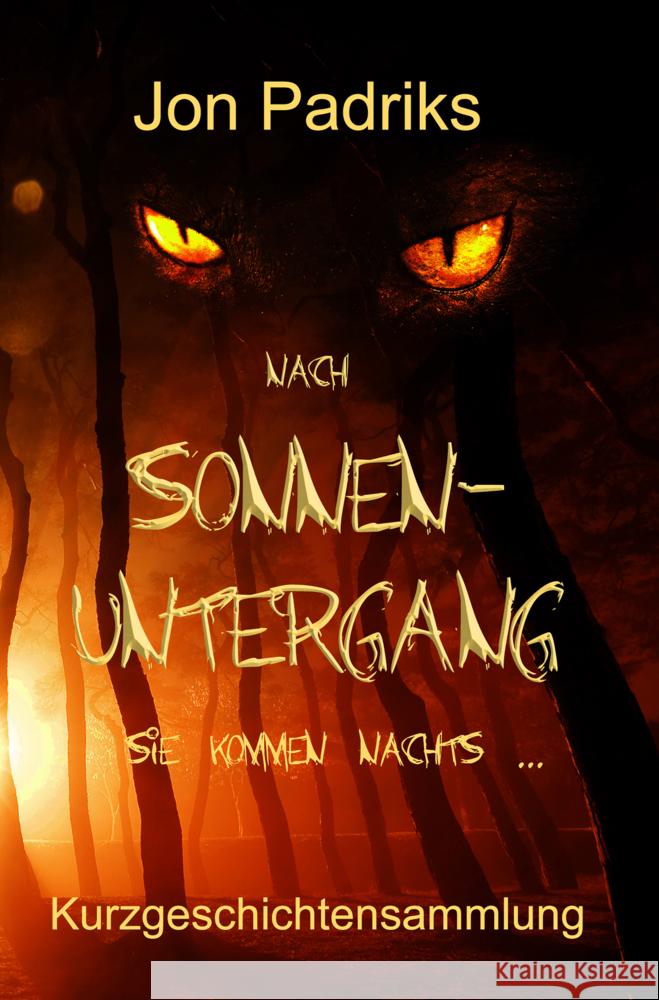 Nach Sonnenuntergang Padriks, Jon 9783985280346 Shadodex-Verlag der Schatten