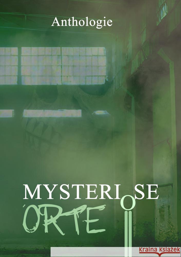Mysteriöse Orte Habenicht, Tobias, Thomas, P. C., Schirrow, Detlef 9783985280506