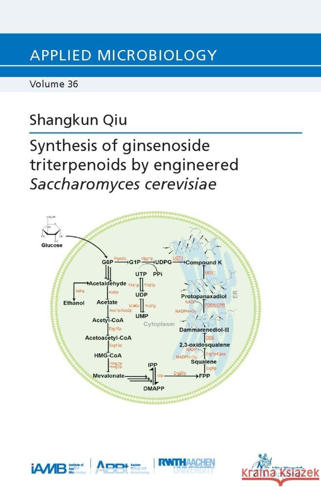 Synthesis of ginsenoside triterpenoids by engineered Saccharomyces cerevisiae Qiu, Shangkun 9783985552412 Apprimus Verlag