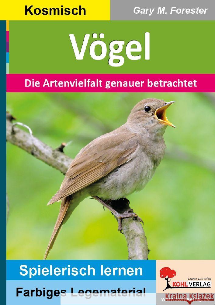 Vögel Forester, Gary M. 9783985588558 KOHL VERLAG Der Verlag mit dem Baum