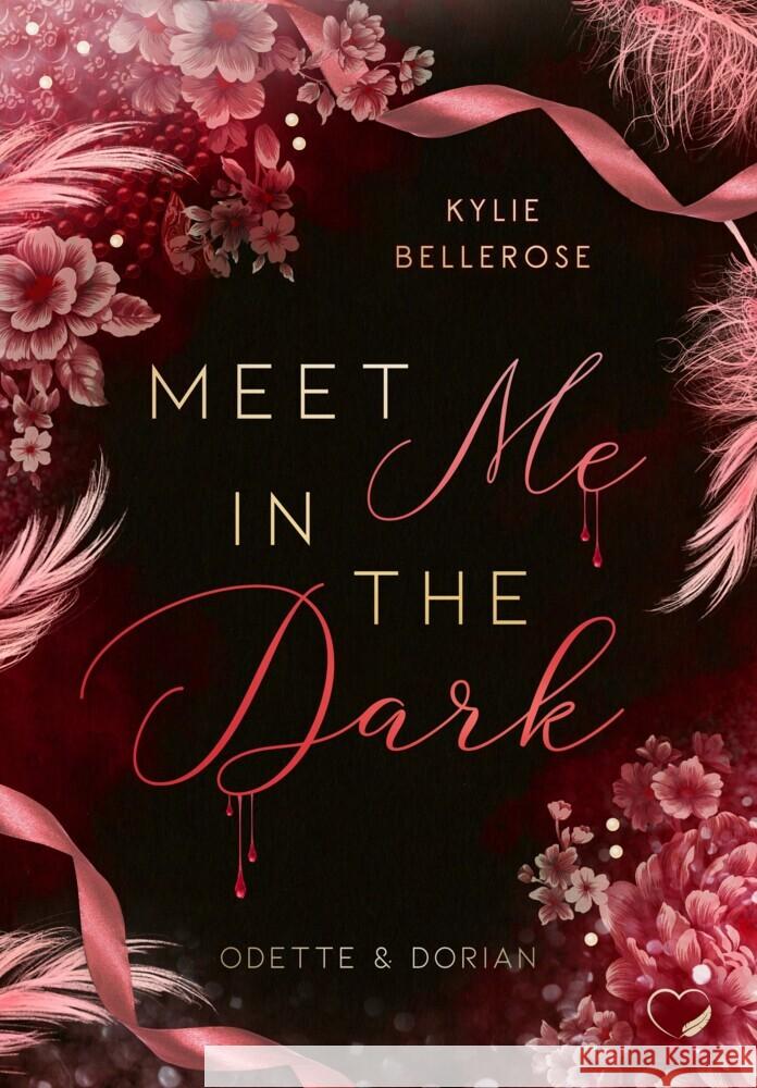 Meet me in the Dark Bellerose, Kylie 9783985957262