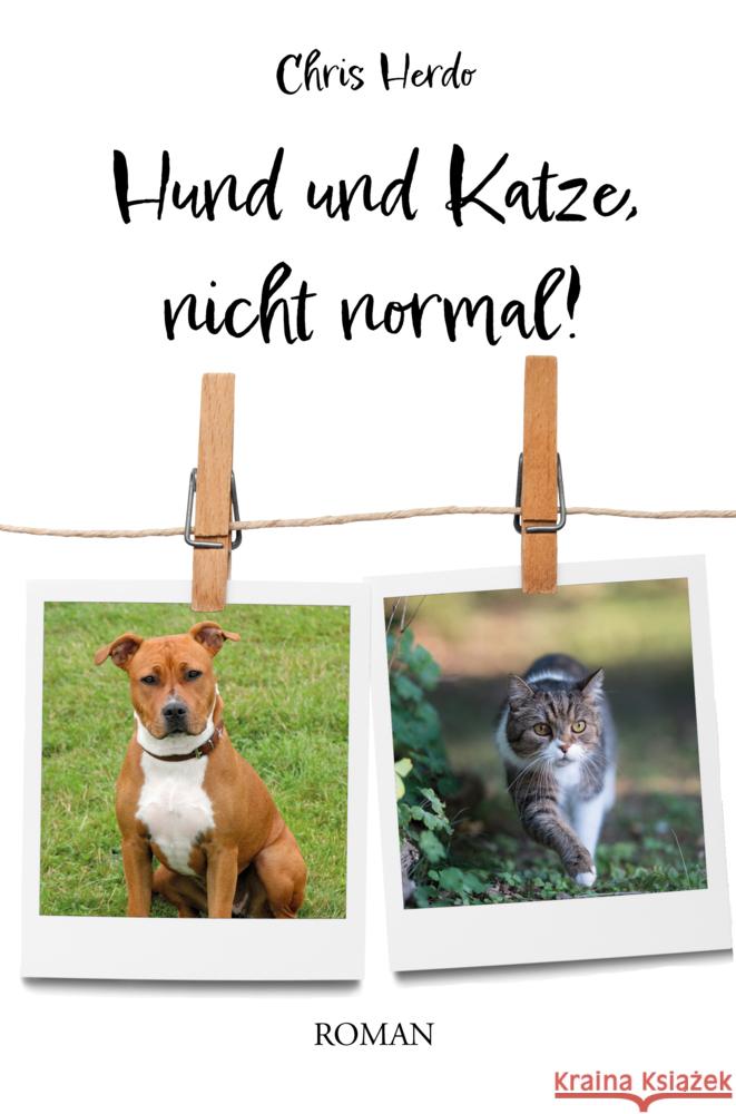 Hund und Katze, nicht normal! Herdo, Chris 9783986270308 Herzsprung Verlag