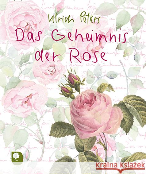 Das Geheimnis der Rose Peters, Ulrich 9783987000188 Eschbach