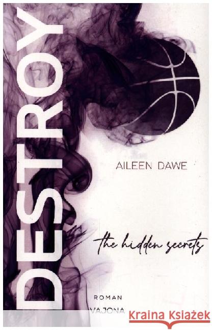 DESTROY the hidden secrets (DESTROY-Reihe 1) Dawe, Aileen 9783987180408 Vajona Verlag