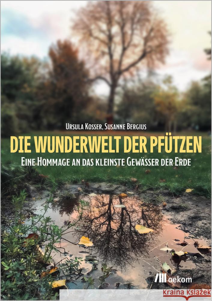 Die Wunderwelt der Pfützen Kosser, Ursula, Bergius, Susanne 9783987260148 oekom
