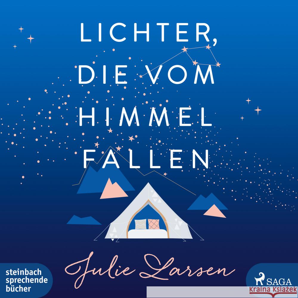 Lichter, die vom Himmel fallen, 1 Audio-CD, MP3 Larsen, Julie 9783987360718