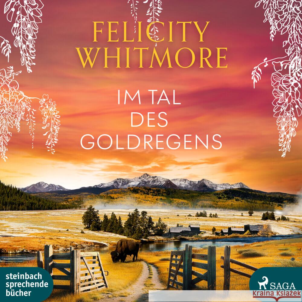 Im Tal des Goldregens, 2 Audio-CD, 2 MP3 Whitmore, Felicity 9783987361043