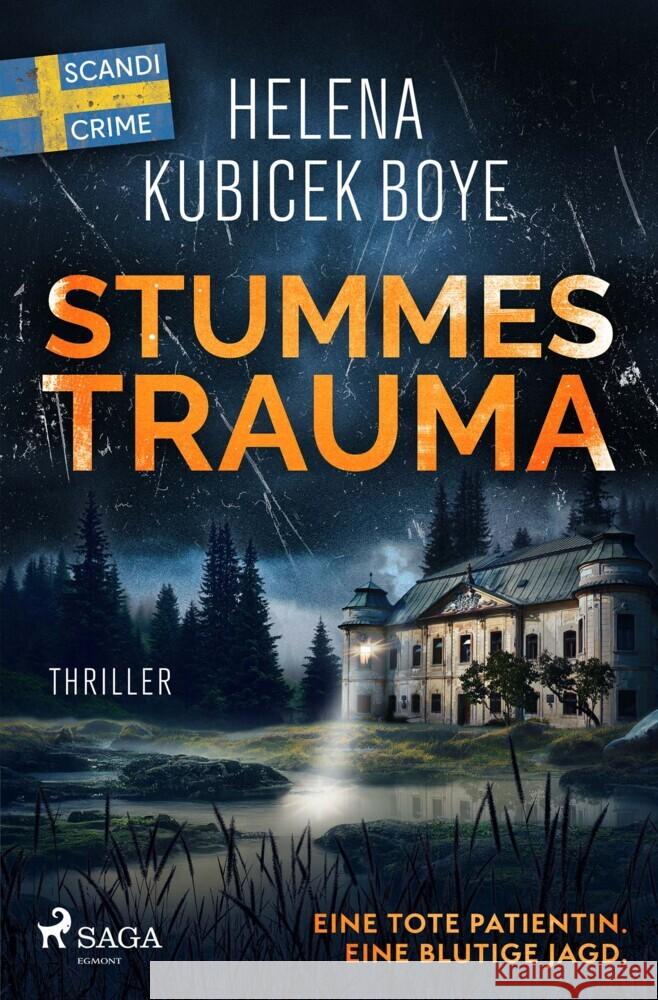 Stummes Trauma Kubicek-Boye, Helena 9783987500756
