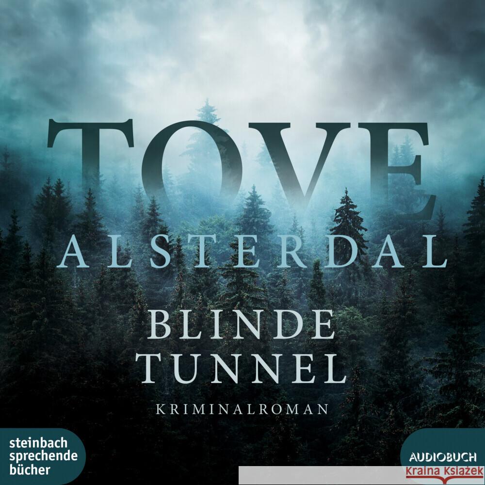 Blinde Tunnel, 1 Audio-CD, MP3 Alsterdal, Tove 9783987590344