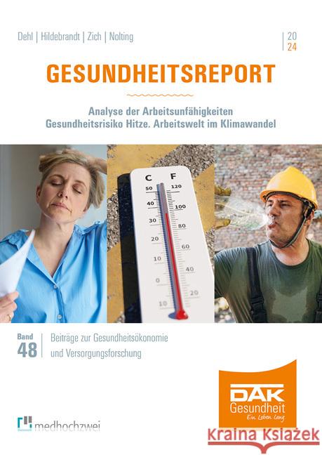 Gesundheitsreport 2024 Dehl, Terese, Hildebrandt, Susanne, Zich, Karsten 9783988000804 Medhochzwei