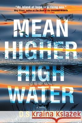 Mean Higher High Water D. S. G. Burke 9783988322340 Vine Leaves Press