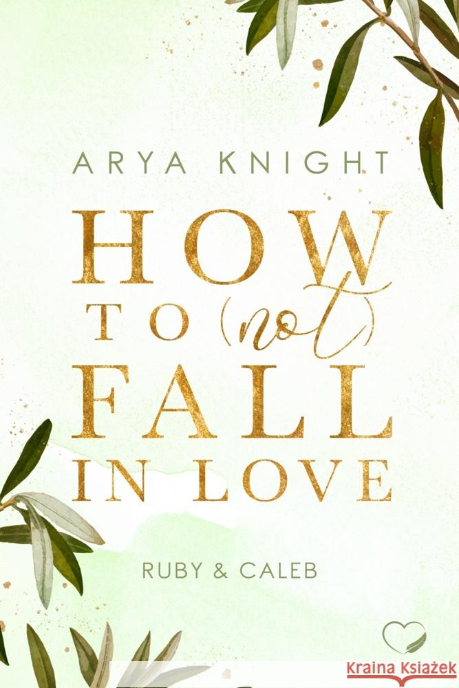 How to (not) fall in Love Knight, Arya 9783989420373