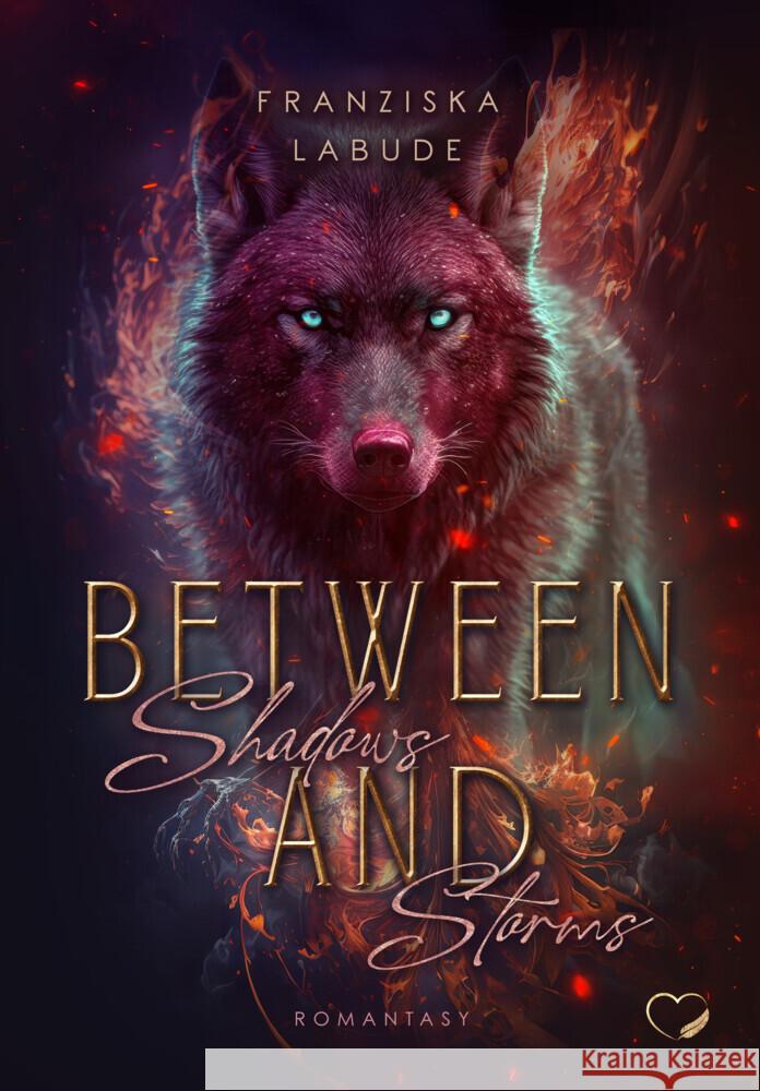 Between Shadows And Storms Labude, Franziska 9783989420885 Nova MD